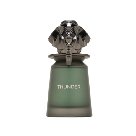 French Avenue Thunder Edp 100 Ml (H)