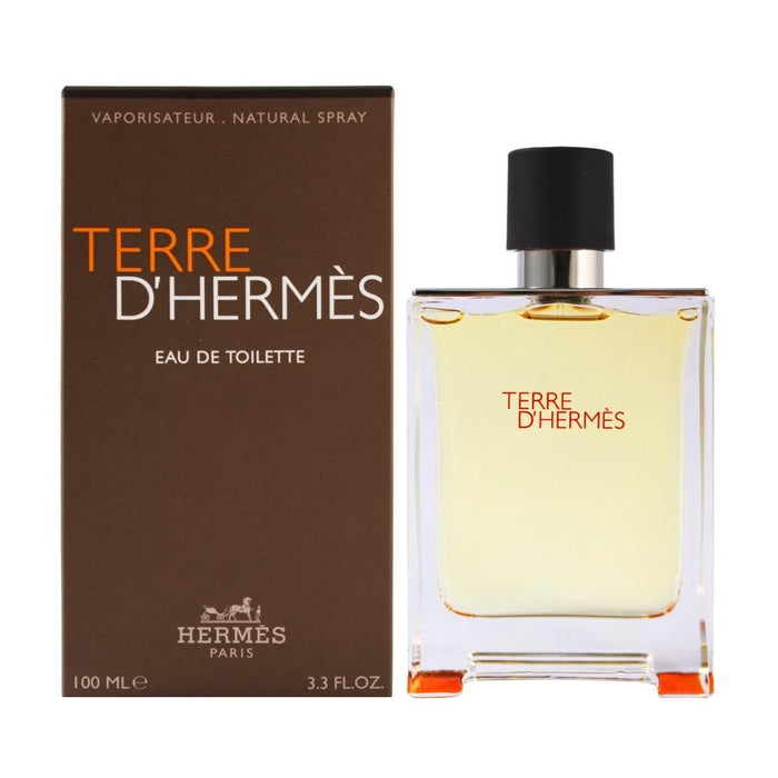 Hermes Hermes Terre D'Hermes EDT 100 ML (H)